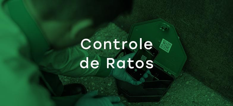 Controle de Ratos