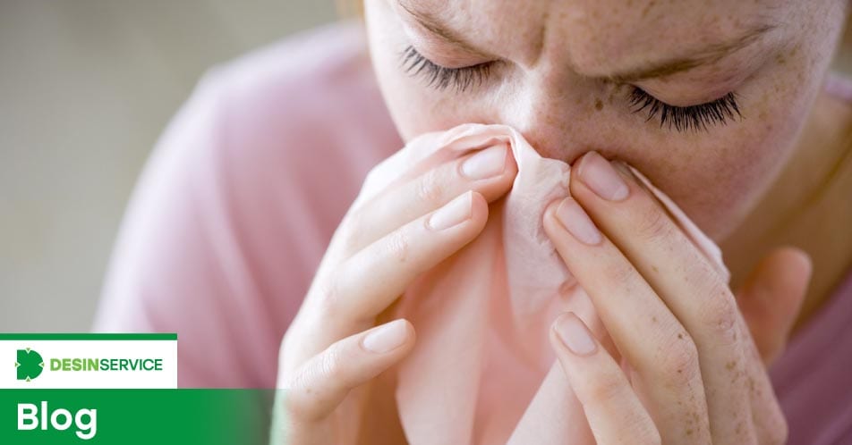 Rinite alérgica: proteja-se com estas dicas simples