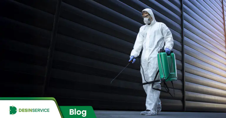 Entenda como é calculado o preço de uma dedetização