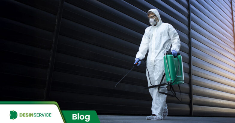 Entenda como é calculado o preço de uma dedetização