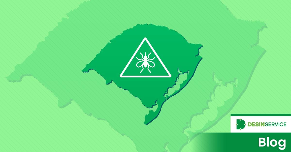 Por que ainda existe dengue no Rio Grande do Sul?
