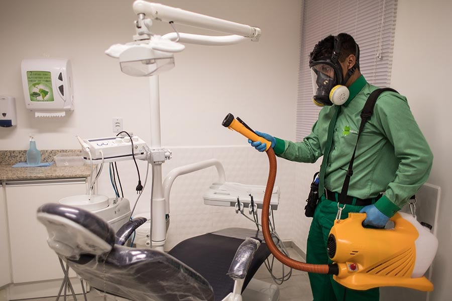 Dedetização profissional não oferece riscos