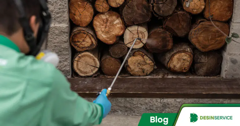 Entenda como funciona a descupinização