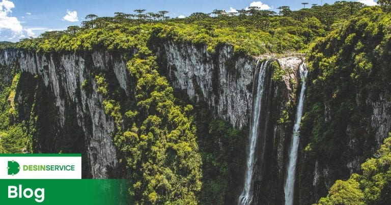 Controle de pragas preserva o meio ambiente