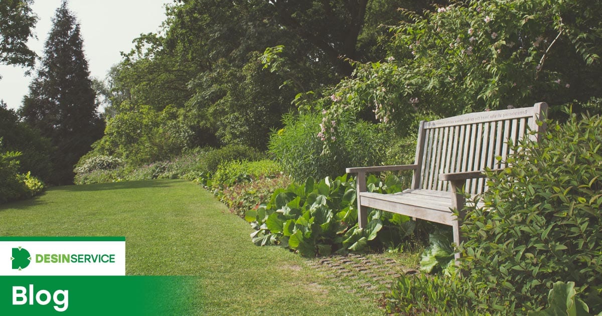 Afaste as pragas de jardim de uma vez por todas