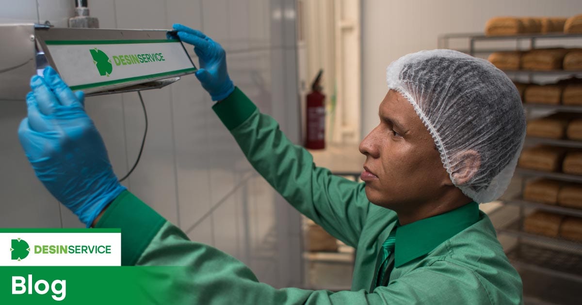 Insetos na indústria alimentícia: fuja dos perigos