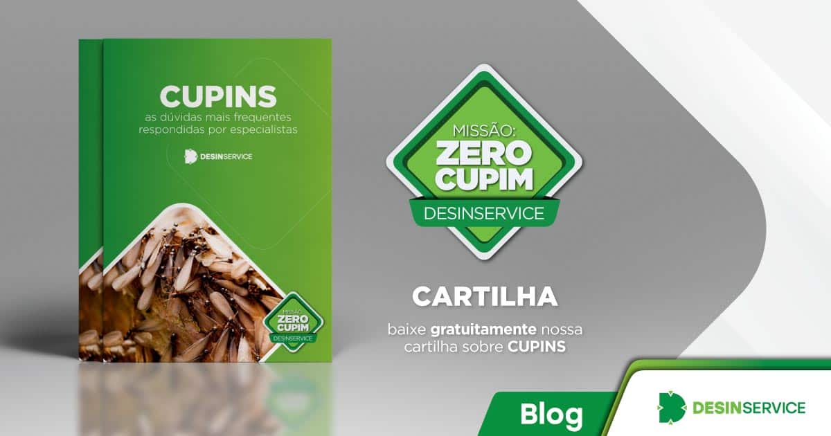 As 50 perguntas mais frequentes sobre cupins