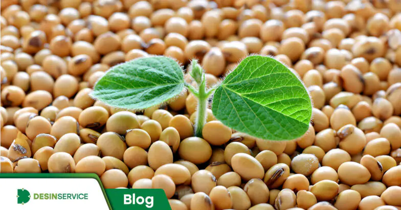 Produtos agrícolas do Rio Grande do Sul: principais culturas e sua importância econômica