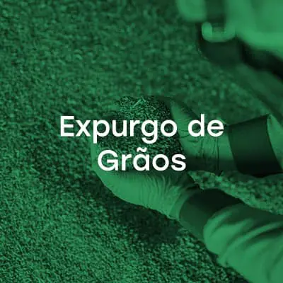 Expurgo de Grãos