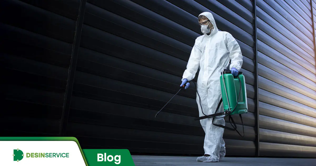 Entenda como é calculado o preço de uma dedetização