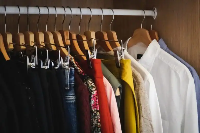 Traça das roupas