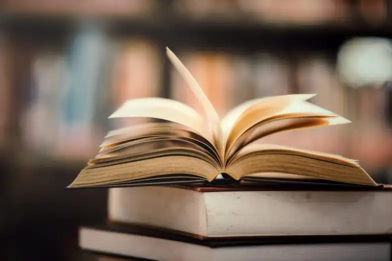 Traça dos livros