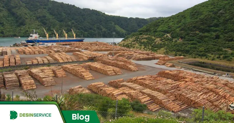 A importância do tratamento fitossanitário da madeira para exportação