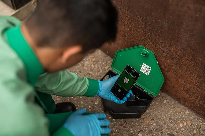 Técnico da Desinservice checando armadilha para Controle de Ratos.